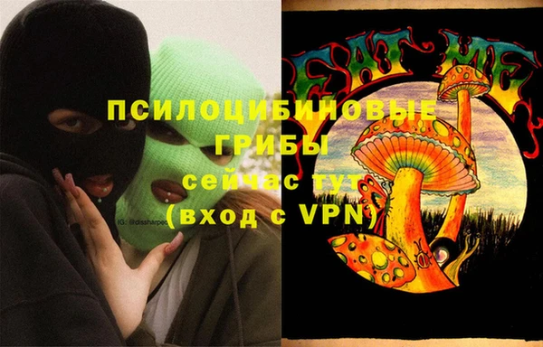 ГАЛЛЮЦИНОГЕННЫЕ ГРИБЫ Нефтегорск
