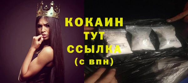 индика Тайга
