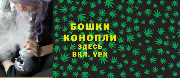 ГАЛЛЮЦИНОГЕННЫЕ ГРИБЫ Нефтегорск